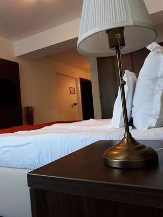 Отель Hotel Anna-Kristina Видин Номер Делюкс с кроватью размера «king-size»-3