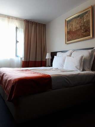 Отель Hotel Anna-Kristina Видин Номер Делюкс с кроватью размера «king-size»-8